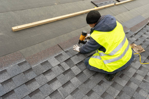 Best Roof Replacement Cost  in Algonac, MI
