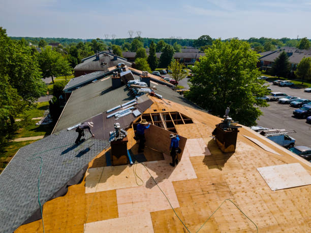 Best Roof Gutter Cleaning  in Algonac, MI