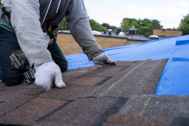 Best Local Roofing Companies  in Algonac, MI