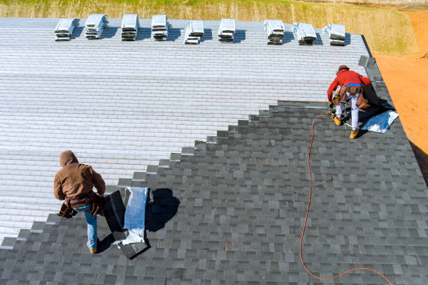 Best Roof Repair Services  in Algonac, MI