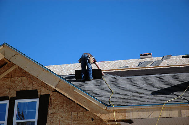 Best Storm Damage Roof Repair  in Algonac, MI