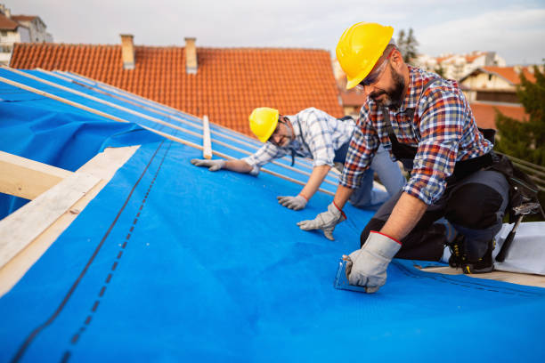 Best Roof Restoration Services  in Algonac, MI