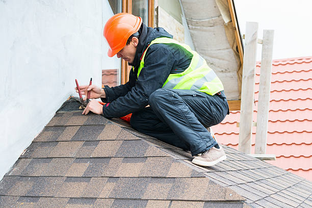 Best Roof Waterproofing Services  in Algonac, MI