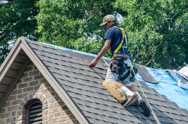 Quick and Trustworthy Emergency Roof Repair Services in Algonac, MI